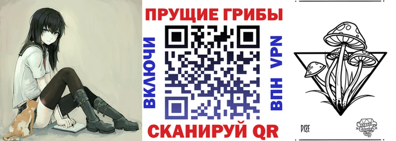 blacksprut онион  Верея  Псилоцибиновые грибы GOLDEN TEACHER 